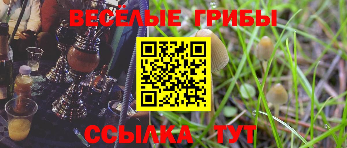 Галлюциногенные грибы Psilocybe  Галлюциногенные грибы MAGIC MUSHROOMS  Вход с VPN  Шатура 