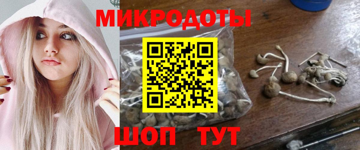 Галлюциногенные грибы прущие грибы Шатура