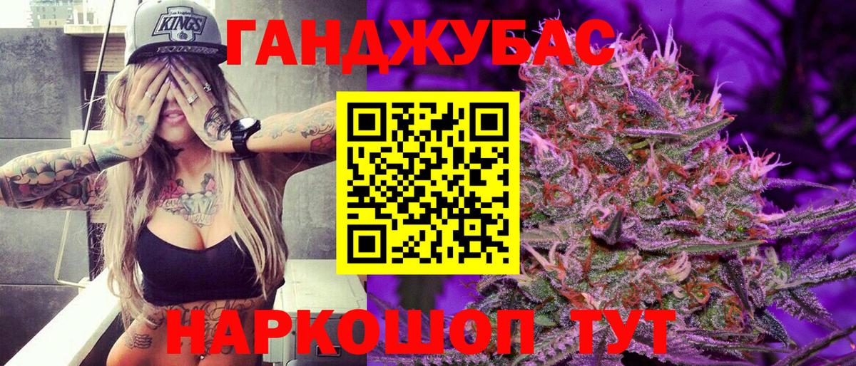 Конопля гибрид Шатура